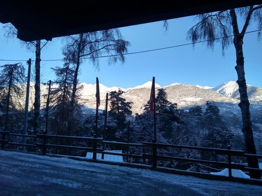 View from the business