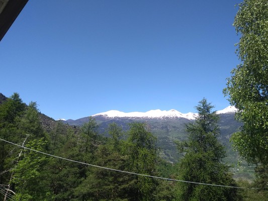 View from the business