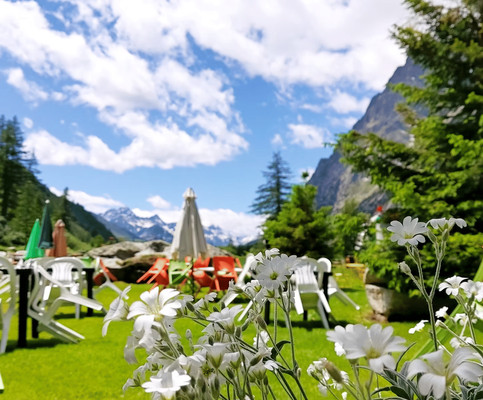 Foto del giardino Courmayeur (Monte Bianco)