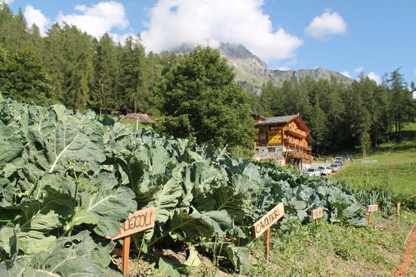 Foto Außenansicht im Sommer La Péra Doussa