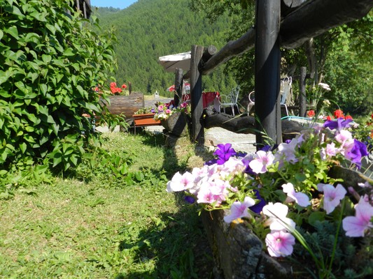 Foto del giardino Chamois (Monte Cervino)