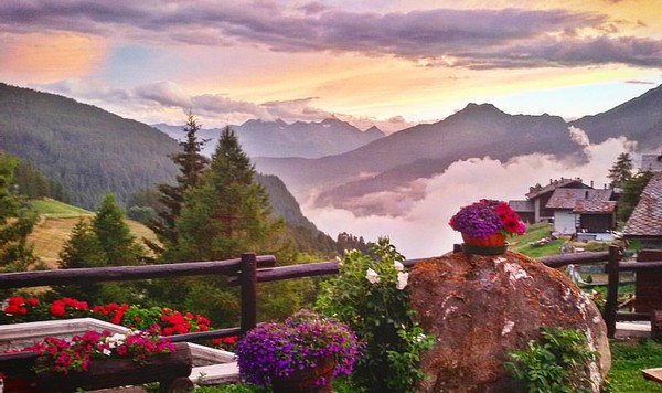Foto del giardino Chamois (Monte Cervino)