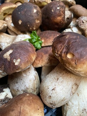 Il cibo
