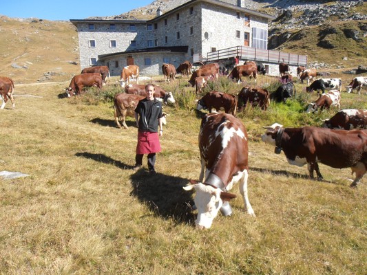 Foto esterno Rifugio con camere Arp