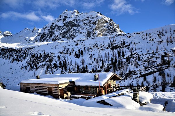 Foto invernale di presentazione Rifugio con camere Baita Belvedere