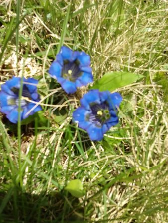 Photo gallery summer