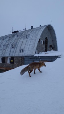 Foto esterno Rifugio con camere Vittorio Emanuele II