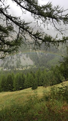 Aussicht Courmayeur (Monte Bianco)