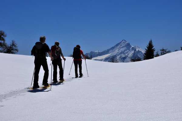 Foto invernale di presentazione Guide alpine Sirdar Montagne et Aventure