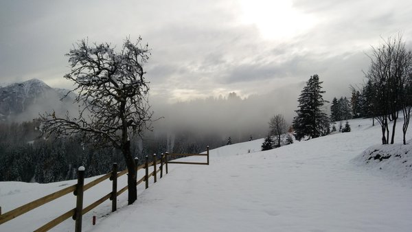 Gallery inverno