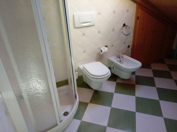 Photo of the bathroom Apartments Ciasa Larcionè Dolomites