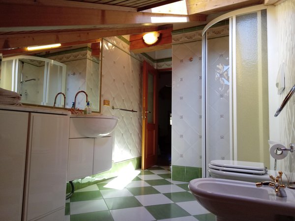 Photo of the bathroom Apartments Ciasa Larcionè Dolomites