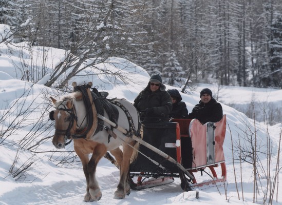 Attività Valle d'Aosta