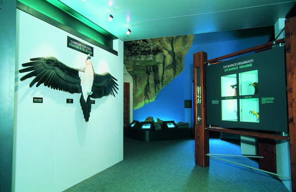 Nationalpark Gran Paradiso (Besucherzentrum Rhêmes-Notre-Dame) Gran Paradiso