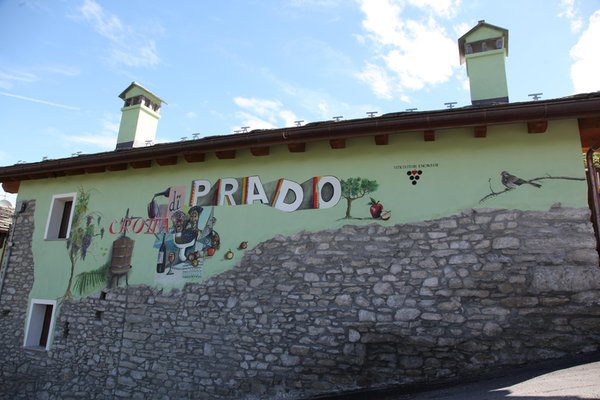 Foto di presentazione Azienda vinicola Crotta di Prado