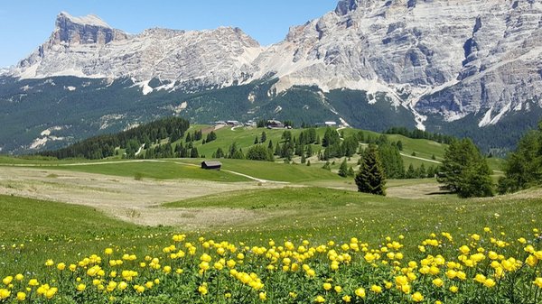 Panorama San Cassiano