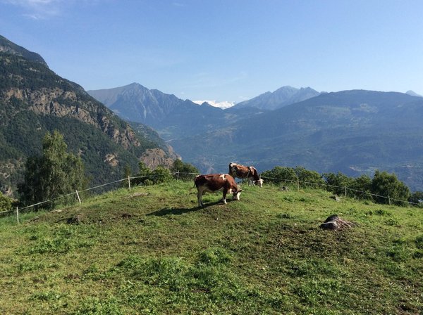 Guida turistica Enrica Quattrocchio Aosta