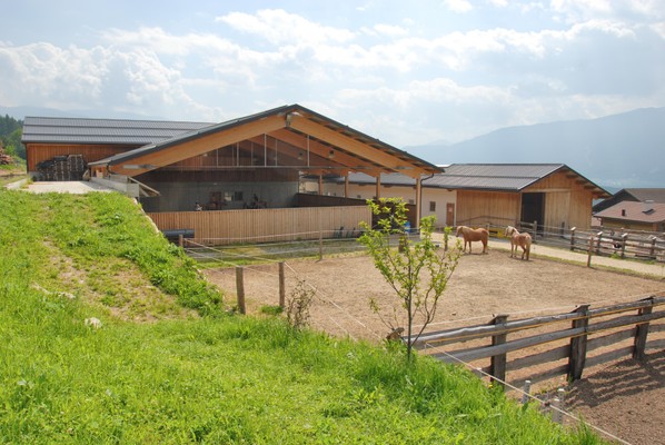 Reiterhof Grasspeinten Bruneck und Umgebung
