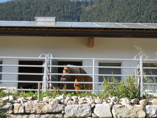 Reiterhof Grasspeinten Bruneck und Umgebung