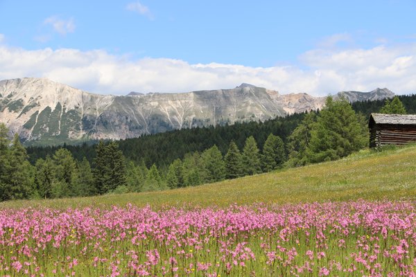 Panoramic view La Val