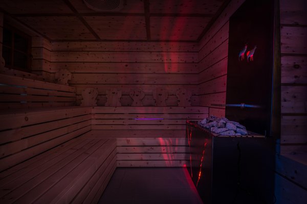 Foto der Sauna Pederoa