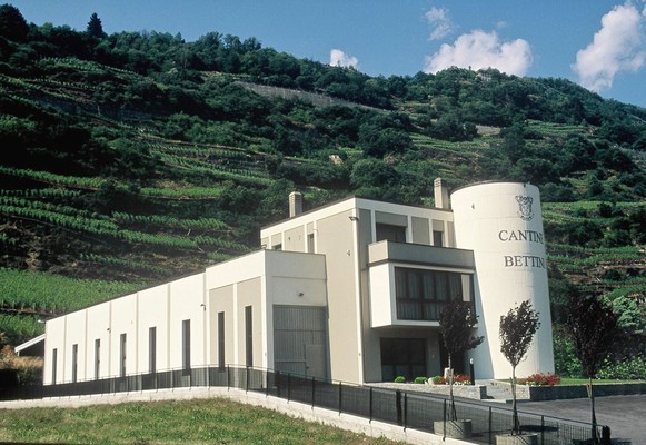 Foto esterno Casa Vinicola F.lli Bettini