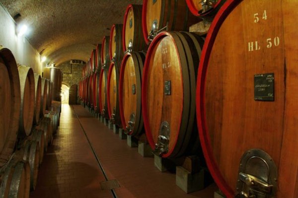 Wine cellar Chiuro (Sondrio - Valmalenco) Nino Negri