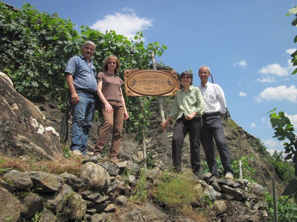 Foto di presentazione Azienda vinicola Le Strie