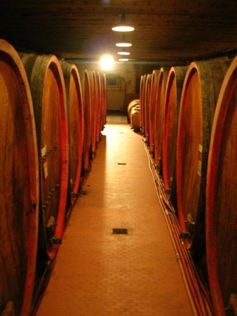 La cantina dei vini Chiuro (Sondrio - Valmalenco) Balgera Vini