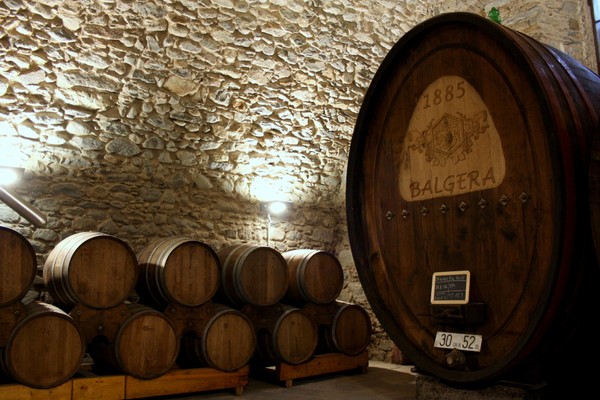 La cantina dei vini Chiuro (Sondrio - Valmalenco) Balgera Vini