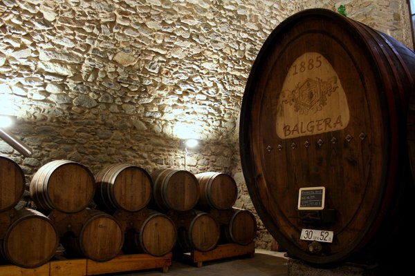 Presentation Photo Winery Balgera Vini
