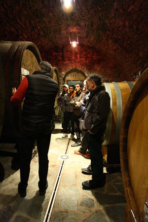 La cantina dei vini Chiuro (Sondrio - Valmalenco) Balgera Vini