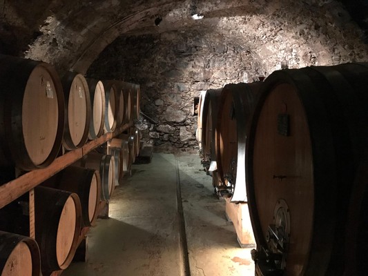 La cantina dei vini Ponte in Valtellina (Sondrio - Valmalenco) Dirupi