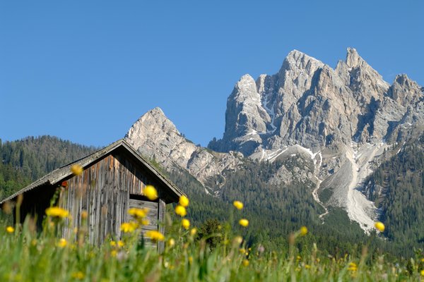 Gallery Alta Pusteria estate