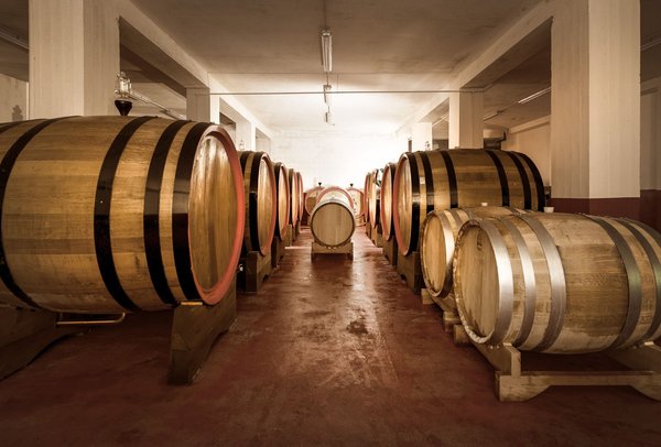 Winery La Perla Tirano - Media Valle