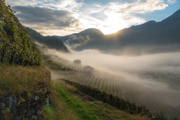 La posizione Azienda vinicola La Perla Teglio (Tirano - Media Valle)