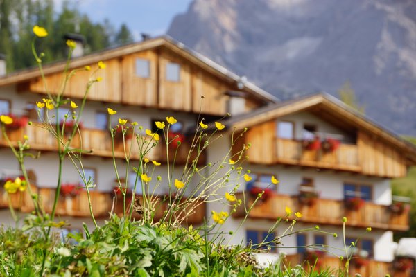 Foto Außenansicht im Sommer Ciurnadú