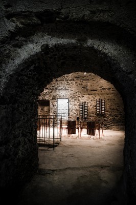 Wine cellar Tresivio (Sondrio - Valmalenco) Luca Faccinelli