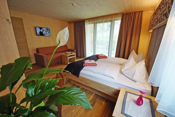 Photo of the room Hotel La Palsa