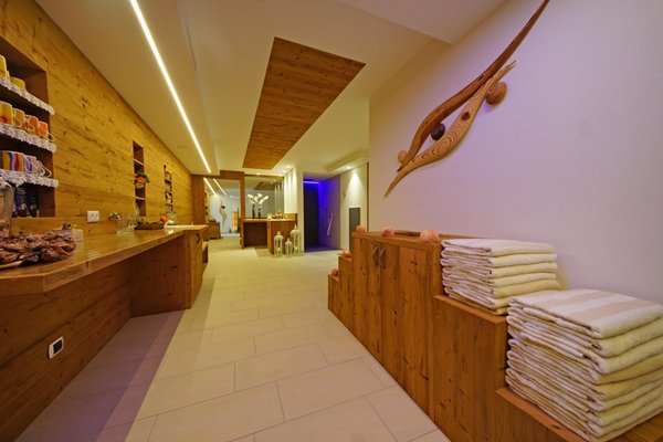 Foto vom Wellness-Bereich Hotel La Palsa