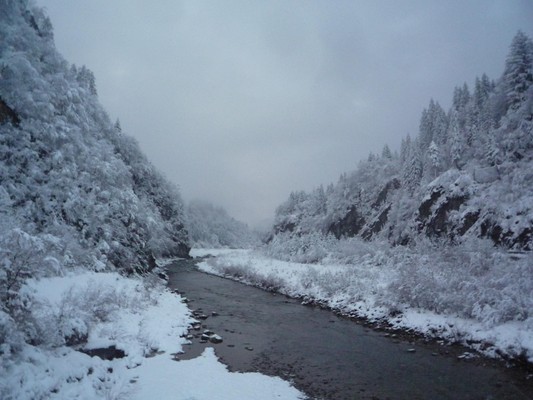 Photo gallery Friulian Alps
