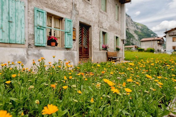 Photo gallery summer