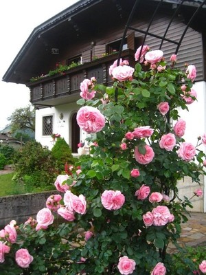 Foto Außenansicht Bed & Breakfast Nel Verde