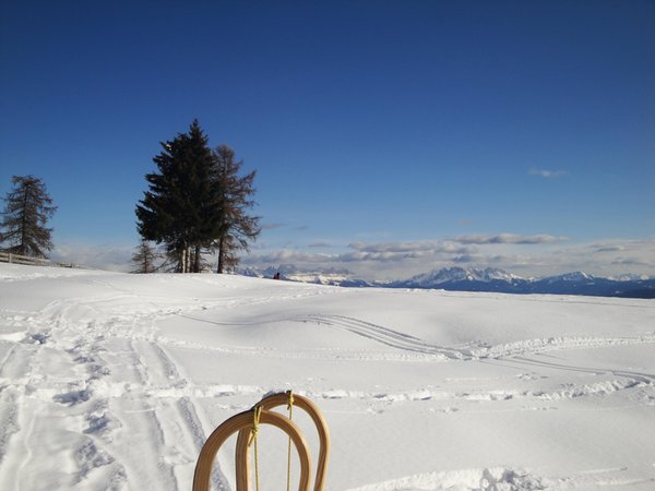 Bildergalerie Winter