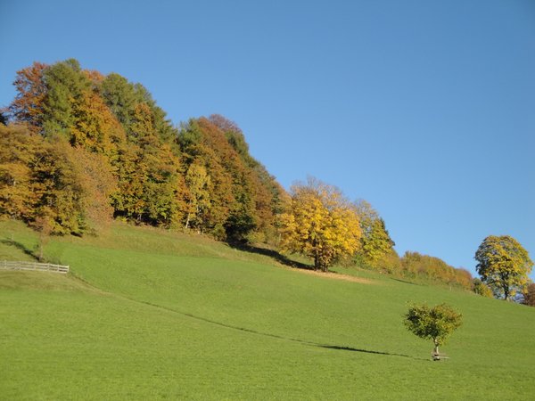 Bildergalerie Sommer