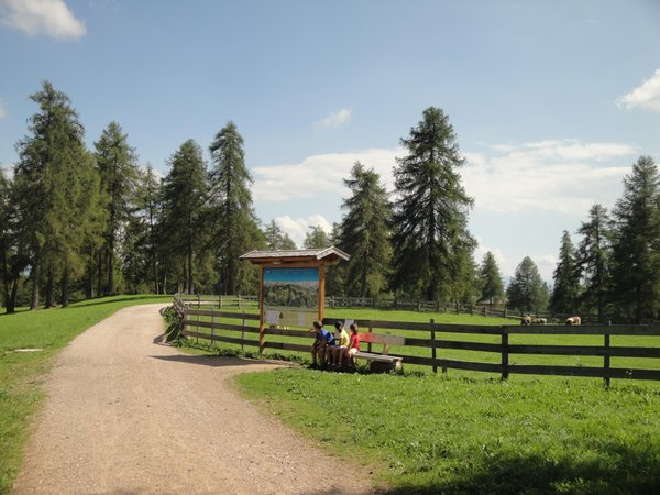 Bildergalerie Sommer