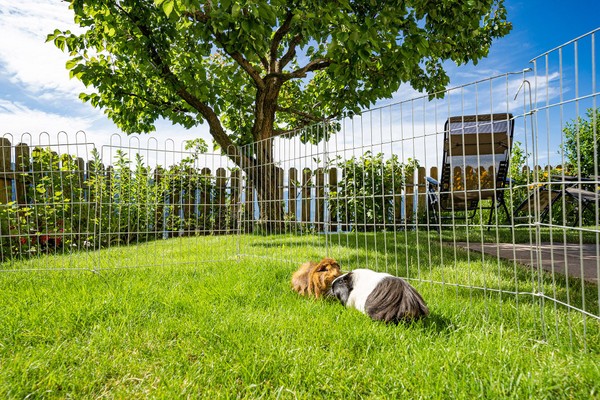 Foto vom Garten Schlaneid (Mölten)