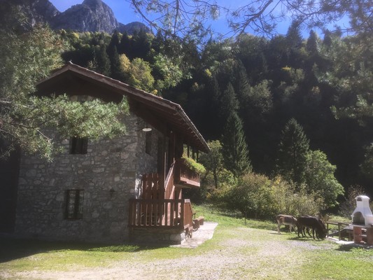 Photo exteriors Bed & Breakfast L'Asinello Rampante