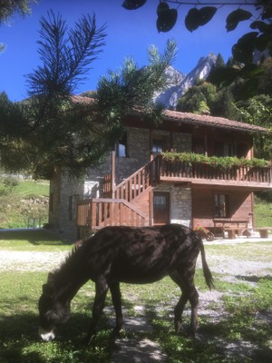 Photo exteriors Bed & Breakfast L'Asinello Rampante
