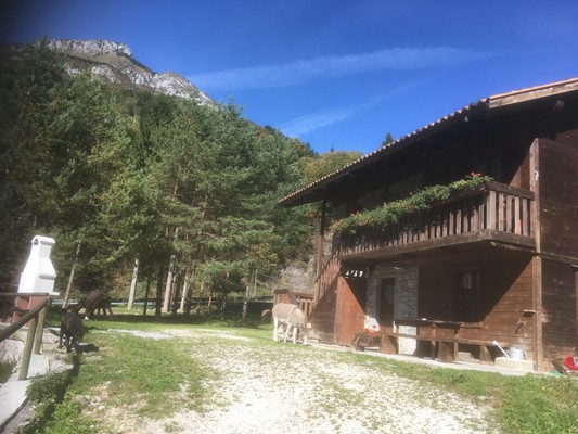 Photo exteriors Bed & Breakfast L'Asinello Rampante
